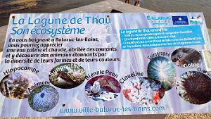 Balaruc-Les-Bains - Plage - 26 Juillet 2023 - 36